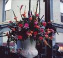 thm_flowers.jpg
